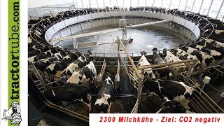 2300 Milchkühe  Ziel CO2 negativ  der größte Milchviehbetrieb in NL  deutsche Version [upl. by Wassyngton]