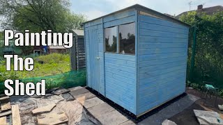 Painting The Shed  Shed Life  Allotment Jobs [upl. by Rimidalv572]