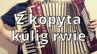 Z kopyta kulig rwie  Skaldowie  Akordeon Cover [upl. by Enwahs655]