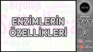 7 Enzimlerin Özellikleri [upl. by Jemena]