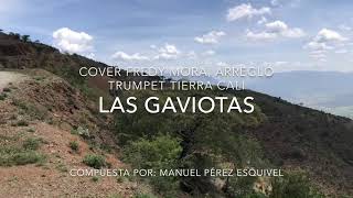 Las gaviotas Cover arreglo final trumpet Vibrato Compuesta por Manuel Pérez Esquivel [upl. by Crockett]