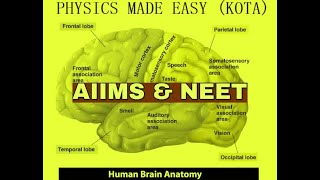 ANATOMY OF BRAIN HEAD amp NECK INTERNAL CAROTID ARTERIES OF HEAD SKULL BONES FOR NEET amp AIIMS  2 [upl. by Wivestad]