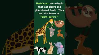 Understanding Herbivores Carnivores Omnivores trending education science foodscience animals [upl. by Boucher]