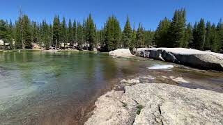 Lyell Fork Tuolumne River  Yosemite Natl Park CA [upl. by Ebenezer278]