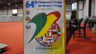 64º CAMPEONATO MUNDIAL DE ORNITOLOGIA 2016 [upl. by Cohn]