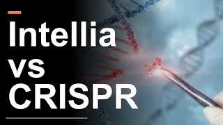 Intellia Stock vs CRISPR Stock The Winner Is [upl. by Notnats]