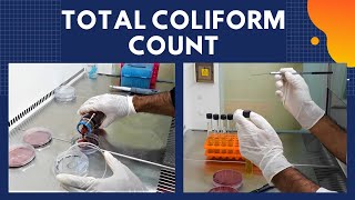 Total Coliform Count TCCA Complete Procedure ISO 48322006 [upl. by Ielirol]