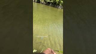 had a visitor on the bank today  bassfishing fishing texas angler [upl. by Yelyab]