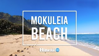 A Walk Along Peaceful Mokuleia Beach [upl. by Assetal]