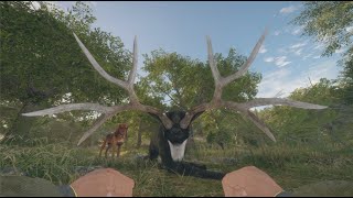 Unedited Realistic Rancho Del Arroyo Hunt [upl. by Belac]