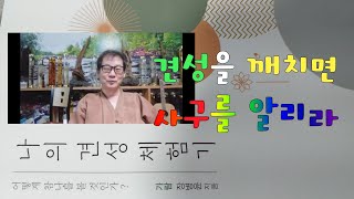 살활동시를 깨치면조사들과의 선문답에 막힘이 없으리라900회 선요 13 제 13강의 [upl. by Vedetta]