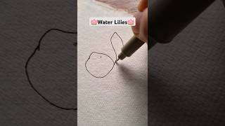 Water lilies line drawing art drawing [upl. by Best174]