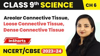 Connective Tissue Areolar Connective Tissue Loose Dense  Connective Tissue  Class 9 Biology [upl. by Worden936]