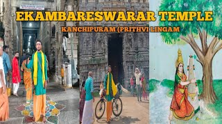 3500 YEAR 0LD MANGO TREE EKAMBARESWARAR TEMPLE PRITHVI LINGAM TEMPLE [upl. by Am994]