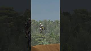 MX Bikes FLOW 250CC In MX Bikes mxbikes [upl. by Carlita]