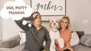 Aussiedoodle Potty Training Tips  5 BEST TIPS TO POTTY TRAIN FAST  Torey Noora [upl. by Artek448]