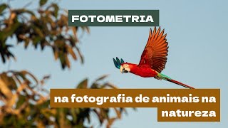 Fotometria [upl. by Pelmas]