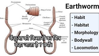 Earthworm love is cuddlyDeep lookEarthworm alimentary canalclitellumfriends of farmers [upl. by Yekcin]