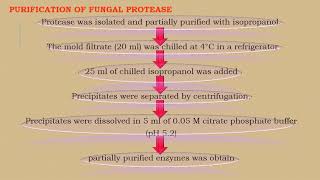 Protease Production Part 2 [upl. by Hobbie285]