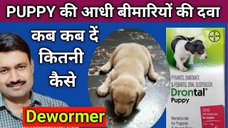 Drontal Puppy Wormer Suspension how to use  Best Deworming Syrup for puppy [upl. by Stortz]