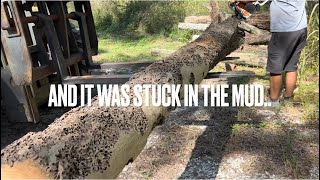 Cutting MANTLES From WORMY SINKER CYPRESS Day at the SAWMILL🪵🎥😎 florida sawmill cypress [upl. by Heather]