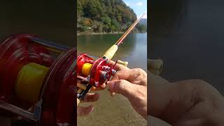 Old Tackle fishing 西湖 Abu5000 record ambassadeur heddon Kingfisher Abu sport rod [upl. by Gearalt463]