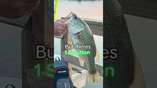 I’m an Angler Addict Fish Fishing Trend Viralvideo Cool Subscribe [upl. by Eimaj748]