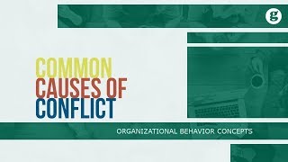 Common Causes of Conflict [upl. by Wolenik]