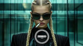 ZERRID  The Best Songs 2024 deephouse [upl. by Isac66]