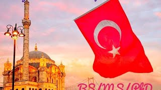 How To Apply For Turkiye Burslari Scholarships In Turkey BSMSPhD Fully Funded [upl. by Arbmat71]