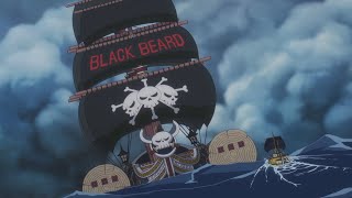 YONKOU BARBANEGRA APARECE  Piratas Barbanegra Vs Piratas Corazón One Piece 4K [upl. by Dlawso588]