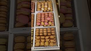 Pierre Hermemost famous Macaroon in Paris [upl. by Negeam484]