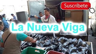 Así es el Mercado de Pescados la Nueva Viga en CDMX [upl. by Annaillil377]