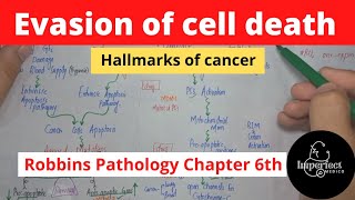 Evasion of Cell DeathCancer hallmarksRobbins Pathology chapter 6 lecturespathology neoplasia [upl. by Carina246]