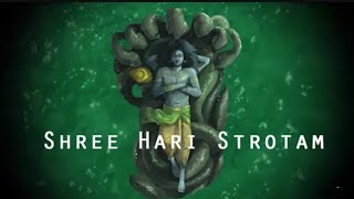 Shri Hari Stotram  Meaning in Hindi [upl. by Nickey]