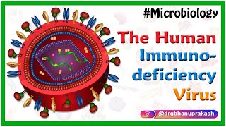 The Human immunodeficiency virus HIV  Medical microbiology animations [upl. by Llirpa]