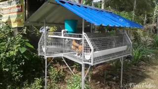 POULTRY CAGE [upl. by Rhetta633]