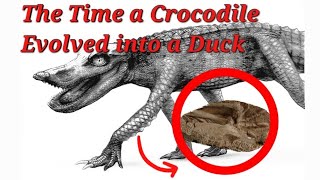 The Time a Crocodile Evolved Into a Duck A Prehistoric Oddball [upl. by Aihsirt]