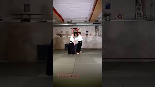 Fight Flight Freeze Or aikido martialarts evolutionaryaikido [upl. by Nrubyar372]