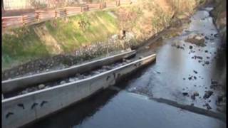 Cariboo Dam Fishway [upl. by Ahsienot789]