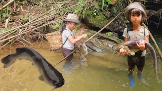 Fish trapping techniquepoor girl Linh DanFish trap with parachute wire caught catfish weighing 4kg [upl. by Sokairyk]