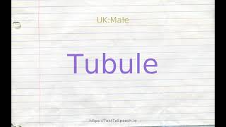 How to pronounce tubule [upl. by Nairadal888]