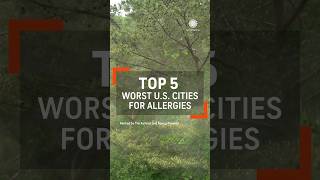 Top 5 Worst Allergy Cities in the US [upl. by Atilal]