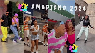 Random Amapiano Dance Challenge 2024 [upl. by Antonina]