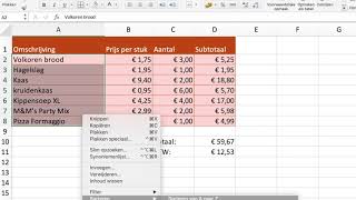 Excel  Sorteren [upl. by Cirederf]