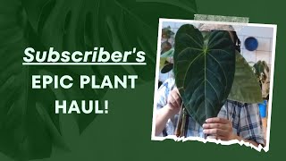 Subscribers Ecuagenera Unboxing What Did He Get 🤔🌿  Unboxing Orchids Philodendrons amp More 🌴🎥 [upl. by Aleac]