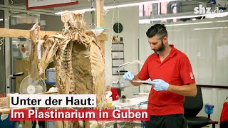 Unter der Haut Im Plastinarium in Guben werden Leichen für die KÖRPERWELTEN präpariert [upl. by Aicilra]