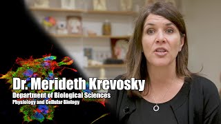 Dr Merideth Krevosky  Biological Sciences  Bridgewater State University [upl. by Tacita132]