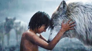 The Jungle Book Mega Episode  English  Catch Mowgli  Stories For Kids  MyChannelu8i [upl. by Kentigera]