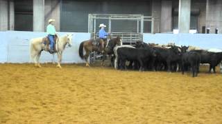 Amber Cooley NCHA Day Cutting Franklin Tn [upl. by Georgena101]